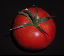 Vine Ripe Tomato