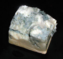 Mountain Gorgonzola